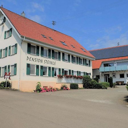 Pension Steinle Erbach an der Danau Exteriör bild