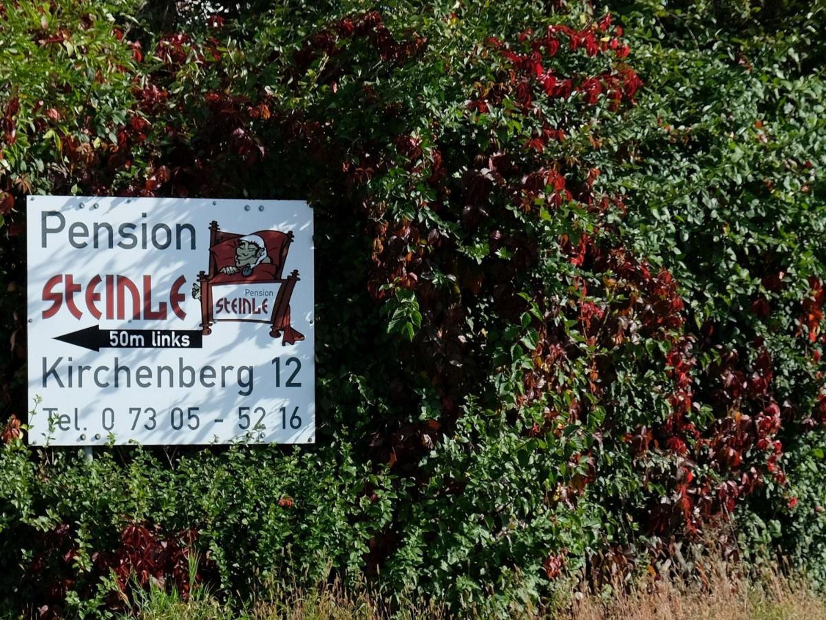 Pension Steinle Erbach an der Danau Exteriör bild